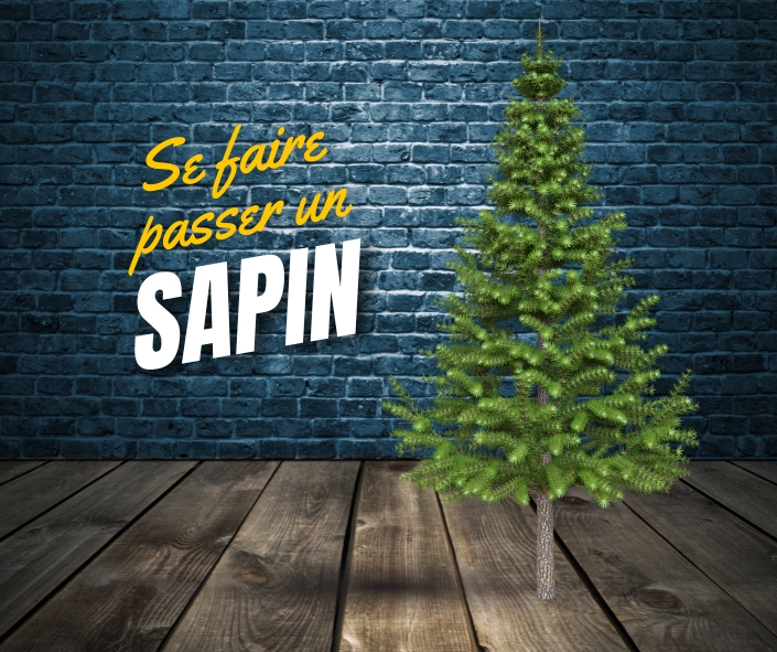 French Expression Se faire passer un sapin