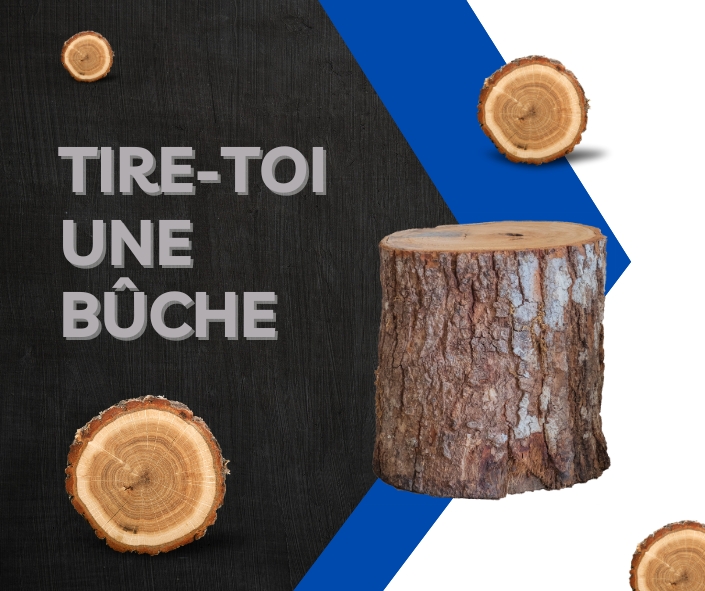 French Quebec expression Tire-toi une bûche