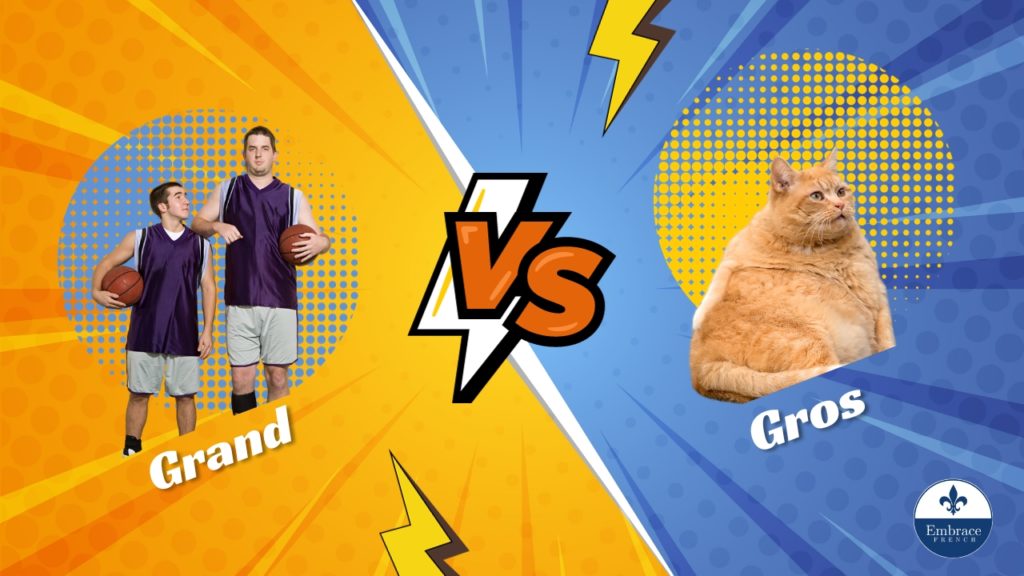 French difference between Gros and Grand