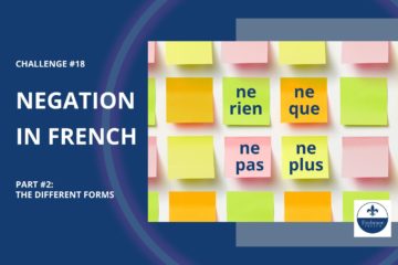 Different forms of negation in French