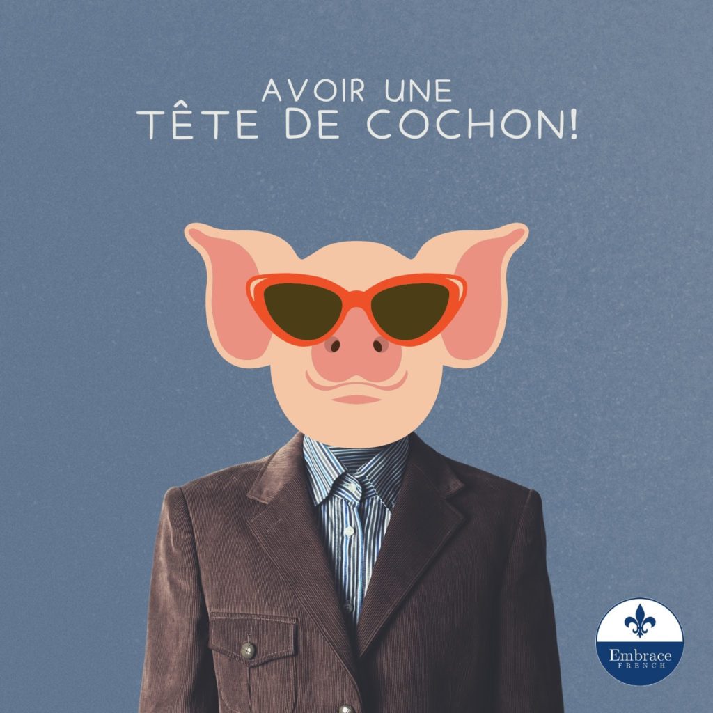 French expression: Avoir une tête de cochon